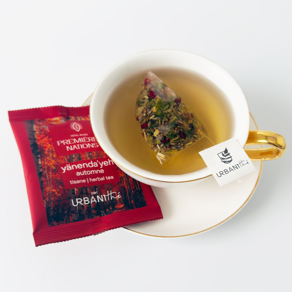 
                  
                    Yänenda’yeh | autumn
                  
                