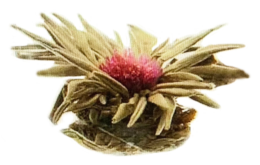 QoQa - Fleur de thé Lot de 18 fleurs de thé + théière