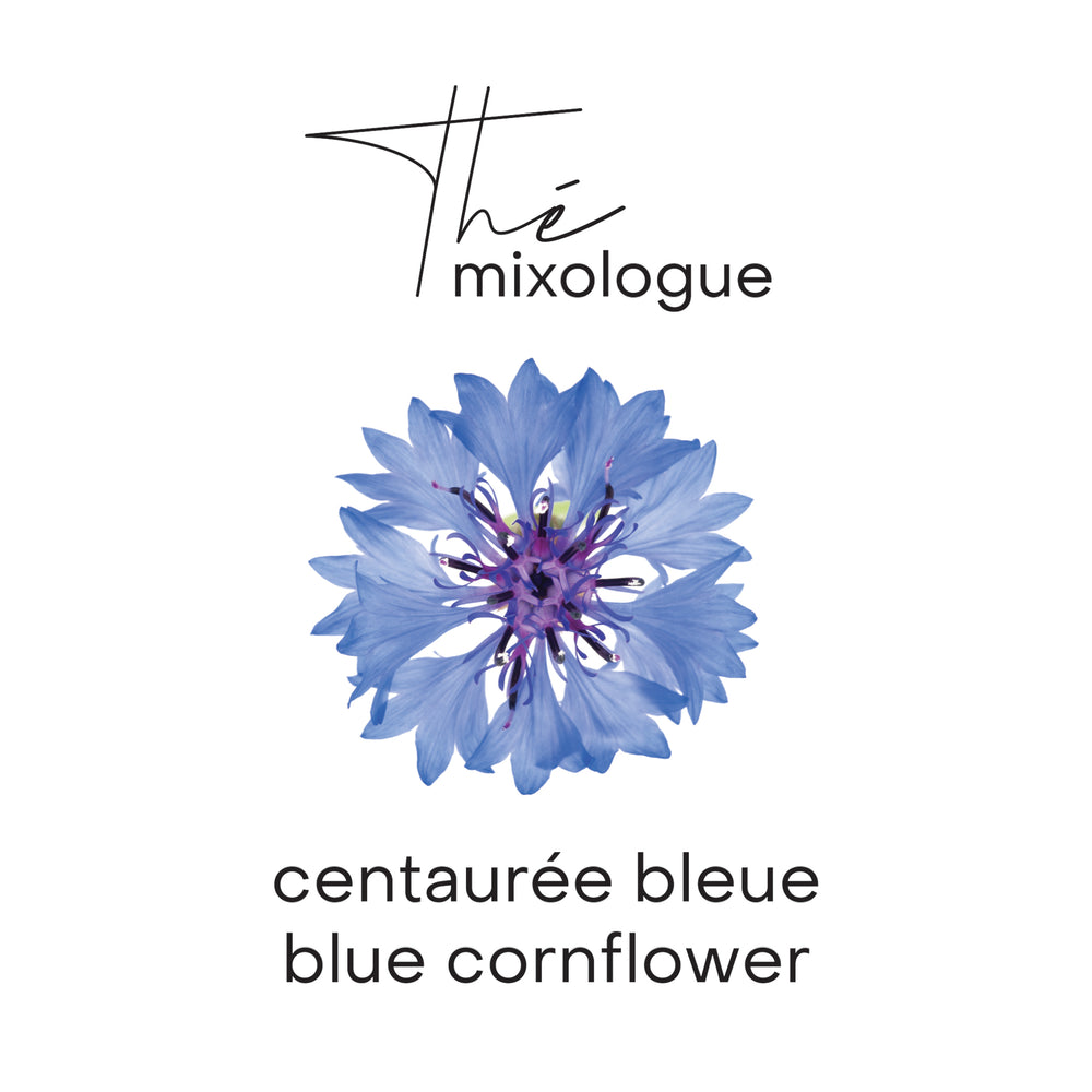 Centaurée bleue