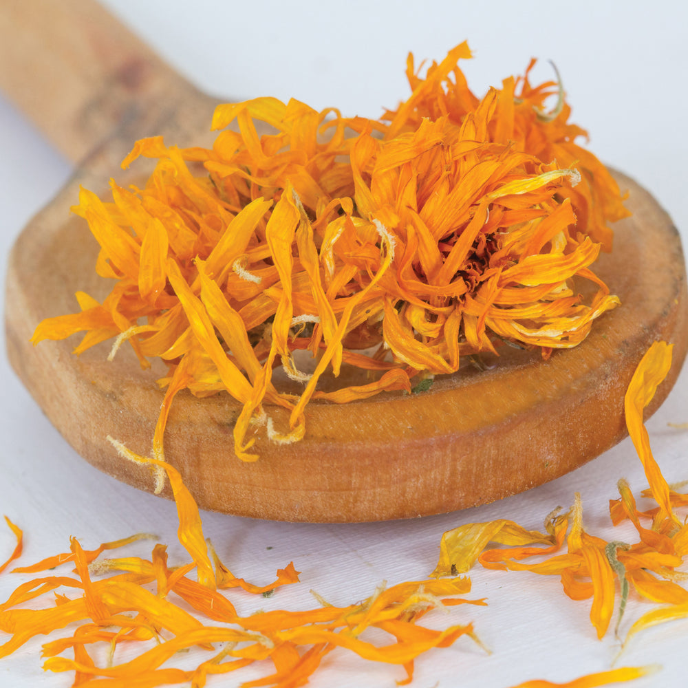 Calendula petals